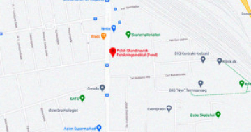 Problemy małych archiwów na przykładzie Instytutu Polsko-Skandynawskiego