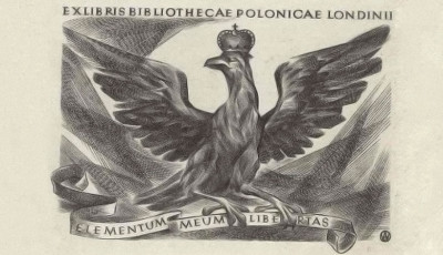 Biblioteka Polska POSK. Struktury organizacyjne i wsp&oacute;łpraca z Krajem
