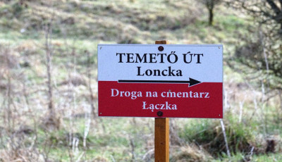 Muzeum i Archiwum Węgierskiej Polonii. Krok do przodu 